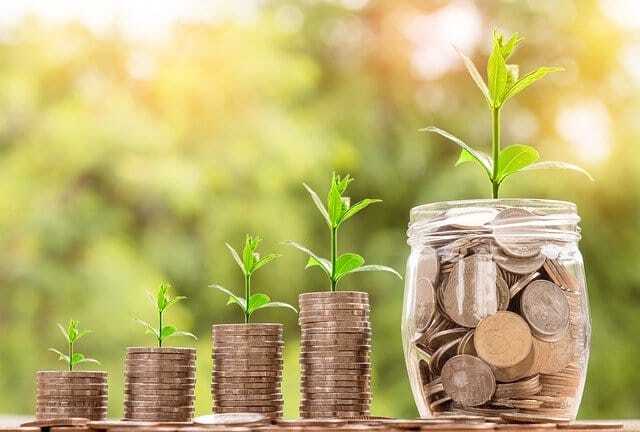 Wachstumsaktien investieren - Münzstapel nebeneinander mit Sprössling einer Pflanze